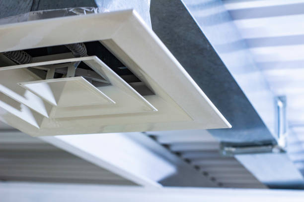 Best Air Duct Mold Removal  in Summerde, AL